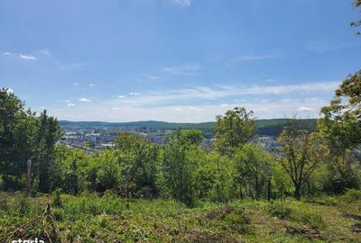 Spațiu comercial, în Central - 2