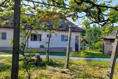 DE VANZARE- GOSPODARIE cu 95 arii teren - 15