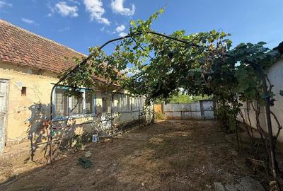 Casă individuală cu 5 camere cu Teren 1518 Mp în Cheresig - 6