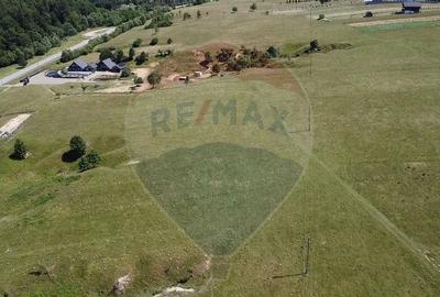 Teren 5,561mp Paltinoasa / Strada principala - 5