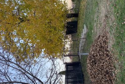 Vand casa tradi?ionala in Ganesti, Arges! - 1