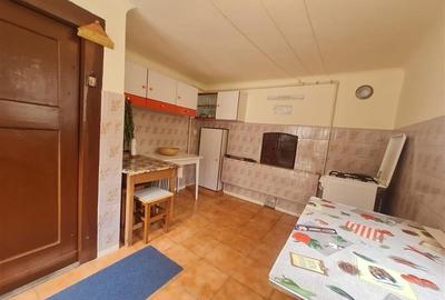 Poveste saseasca la umbra vitei de vie, cu crama si gradina cu flori, Central Co - 38