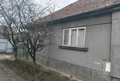 Casă cu 2 camere în Remetea - 5