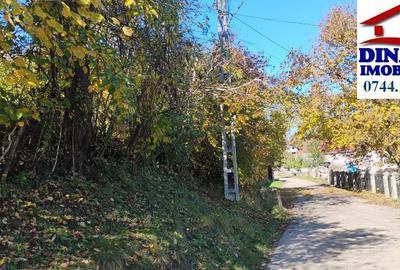 3600 mp teren intravilan, sat Bistrita, 12 Euro/mp - 15