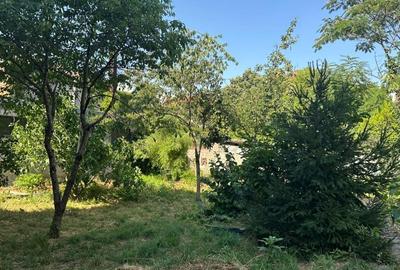 REA1024707 3 Camere de Inchiriat langa Arcul de Triumf l Locuinta sau Birou - 8
