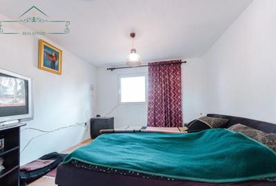 Casa de vacanta cu 4 camere, zona Insula Mure?, Arad - 11