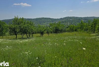 Teren de 6352 mp, în Păcureți - 3