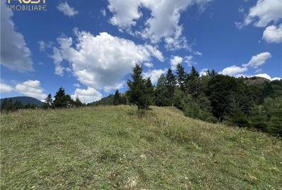 Teren  intravilan Colibita 2300 mp panoramic - 11