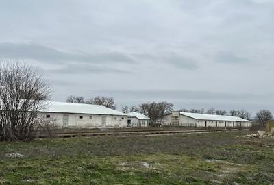 Spațiu industrial, în Ceamurlia de Jos - 6