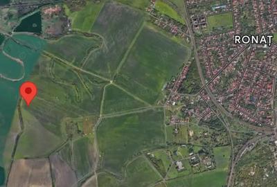 Teren de 10900 mp, în Ronaț - 1