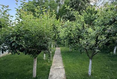 Casă cu 3 camere în Domnești - 2