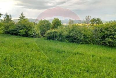 Teren Construcții intravilan de 4223 mp, în Tohănița - 12