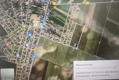 Teren intravilan Dascalu , 18000 m /17€ m2 - 2