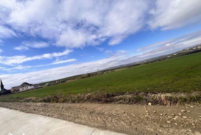 Teren de 8500 mp, în Curtești - 3