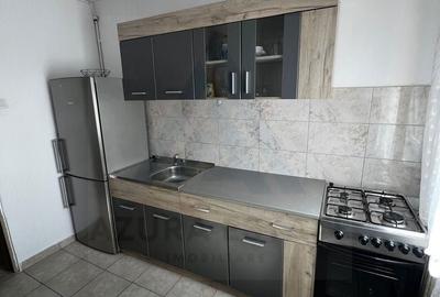Apartament cu 3 camere decomandat în Gura Râului - 10