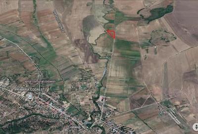 Teren de 28500 mp, în Dobrovăț - 5