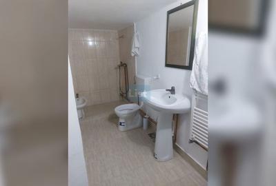 Apartament cu 2 camere semidecomandat, mobilat în Gruia - 8
