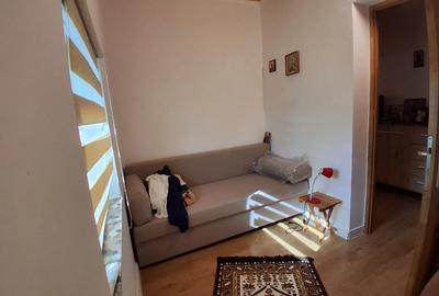 Vand casa cu gradina mare, Ia?i - 3