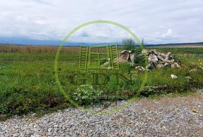 Teren Intravilan 500mp,spre vanzare in Sura Mica - 1