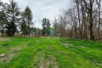 Teren Petrachioaia - deschidere la Lac 4,4Ha - 2
