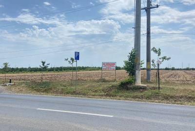 Teren Construcții intravilan de 7744 mp, în Moara Vlăsiei - 3