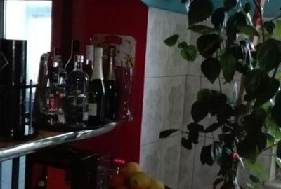 Apartament 3 camere zona Calarasilor, toate imbunatatirile - 3