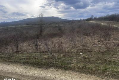 Teren de 5100 mp, în Central - 2