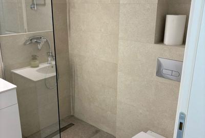 Spațiu comercial, de 38 mp, în Valea Lupului - 2