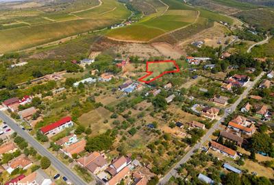 Teren de 4184 mp, în Ghioroc - 11