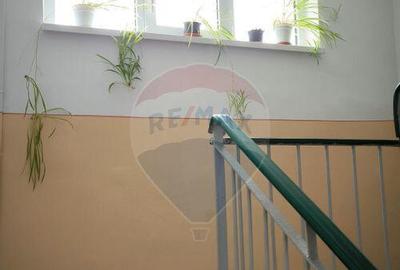 Apartament 4 camere, spa?ios ?i luminos, cartier Vi... - 13
