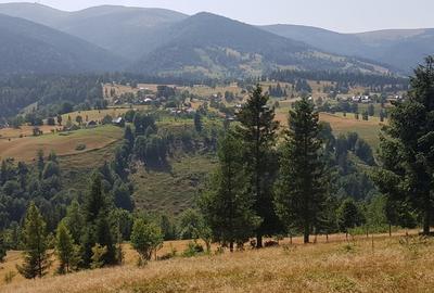 Teren Construcții extravilan de 7200 mp, în Arieșeni - 3