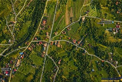 Teren de 5750 mp, în Ibănești - 3