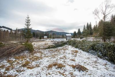 Teren intravilan de 49000 mp, în Borca - 12