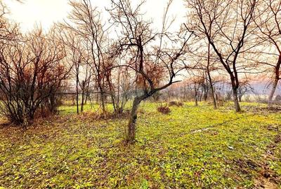 Teren de 5995 mp, în Șișești - 5