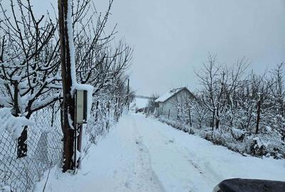 Teren de 11860 mp, în Călugăreni - 3