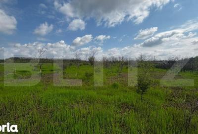 Teren de 990 mp, în Cârcea - 1