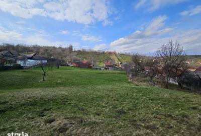 Teren de 4164 mp, în Coman - 8