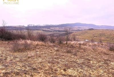 Teren Construcții extravilan de 905 mp, în Sigmir - 9