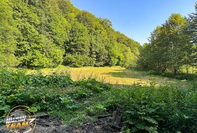 FILM! Teren extravilan pe 2.737mp,zona pretioasa,acces facil,Dobarlau,Covasna - 9