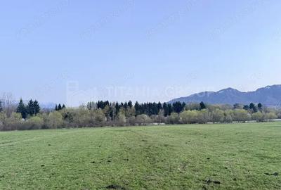 Teren de 7838 mp, în Zărnești - 7