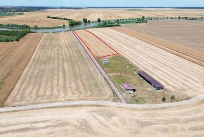 Teren la lac Frumusani - 3