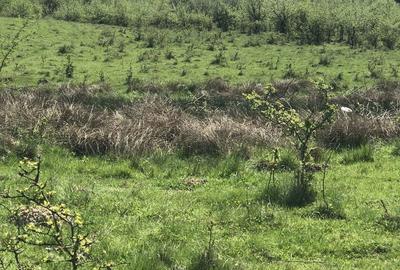 Spațiu comercial, în Racovița - 4