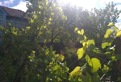 Casă în Muntenii de Jos - 2