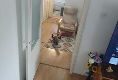 Apartament cu 2 camere decomandat, mobilat în E3 - 15