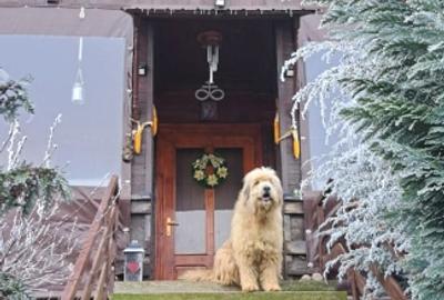 Casă individuală cu 4 camere cu Canalizare în Sibiel - 1