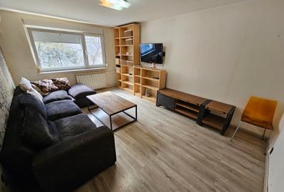 Apartament cu 2 camere decomandat, mobilat în Drumul Taberei - 2