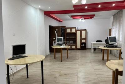 Lugoj, Cas #259; 94 Mp. Suprafata totala, POZITIE SEMICENTRALA - 15