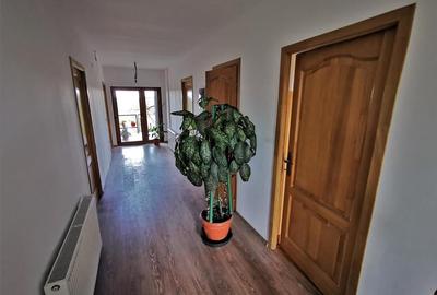 Vila Deosebita Rudicica - 4