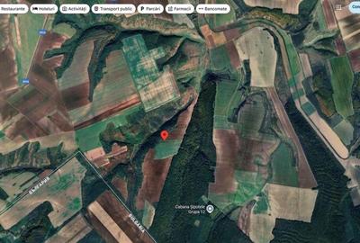 Teren cota parte 1/12 Deleni, ID: R2662164 - 10