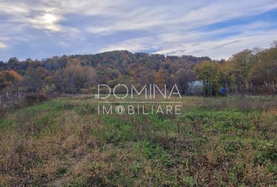 Teren de 4967 mp, în Bălești